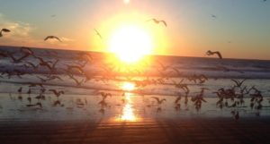 Read more about the article High Performance Teams & Collective Intelligence