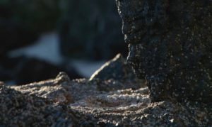 Read more about the article Pedagogical Virtues of a Virtual Workshop Environment