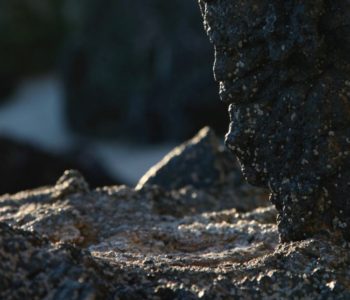 Pedagogical Virtues of a Virtual Workshop Environment