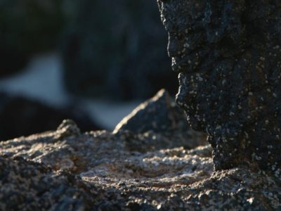 Pedagogical Virtues of a Virtual Workshop Environment