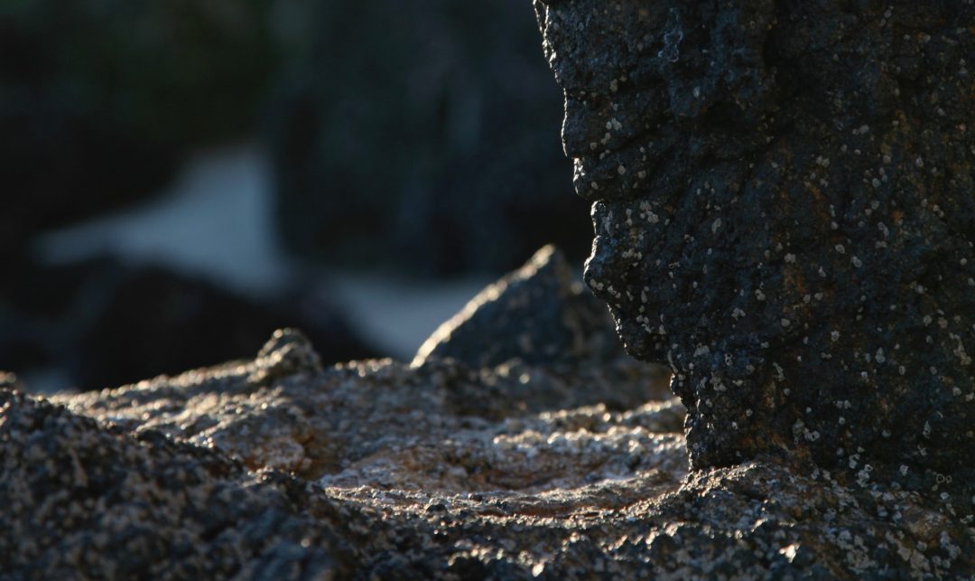 You are currently viewing Pedagogical Virtues of a Virtual Workshop Environment